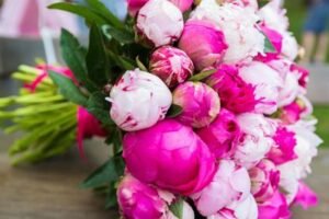 Mazzo di Peonie - Splendore Naturale | Fioreria Rosa Fiorista Milano